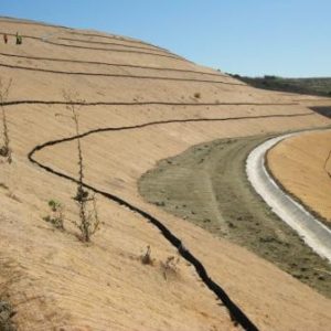 Erosion Control Blankets - Image 2